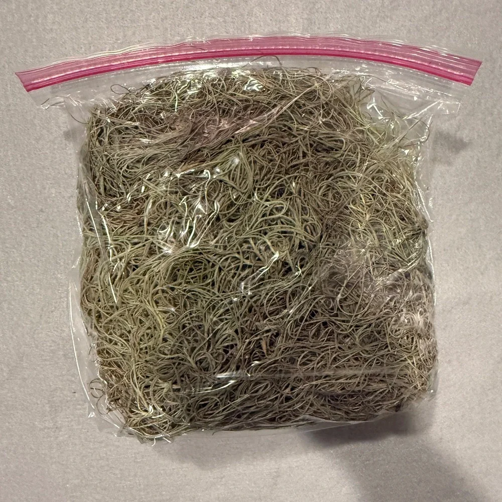 Spanish Moss Live Fresh Pick 1 Gallon Southern Oak Tree Florida Air Plant Craft